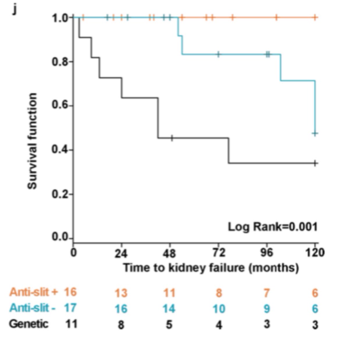 Anti-slit antibodies define response to therapy and prognosis much better than histopathological lesion patterns even among patients with steroid-resistant nephrotic syndrome kidney-international.org/action/showPdf…