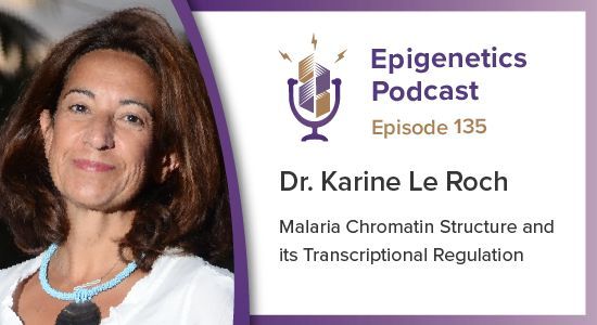 epigenetics_pod's tweet image. In this episode we talked with @KarineLeRoch1 from @UCRiverside about her work on malaria chromatin structure and its transcriptional regulation. #podcast #chromatin #epigenetics
Listen here: activemotif.com/podcasts-karin…