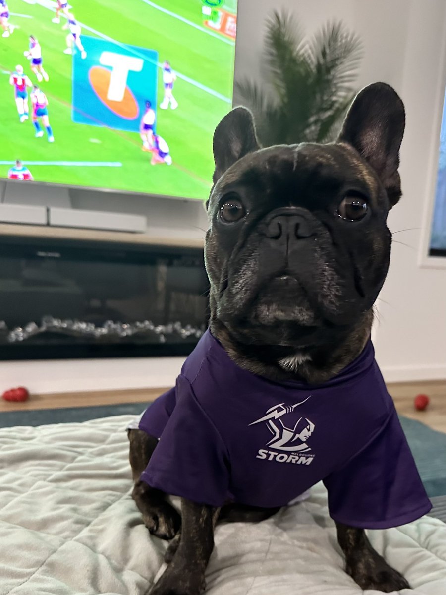 ruth_less_T's tweet photo. @storm 💜⚡️💜 https://t.co/Uh7nzLGAeX