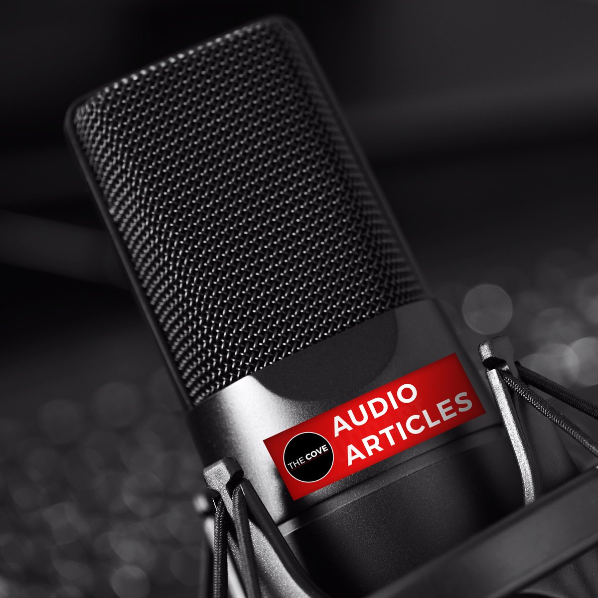 covetweet's tweet photo. 🎧 No time to read up on PME? No worries! The Cove’s best content is now available on our Audio Articles channel, so you can get your PME on the go. #AusArmy #TheCove #TrainedAndReady #ListenAndLearn https://t.co/drrnB35rV7