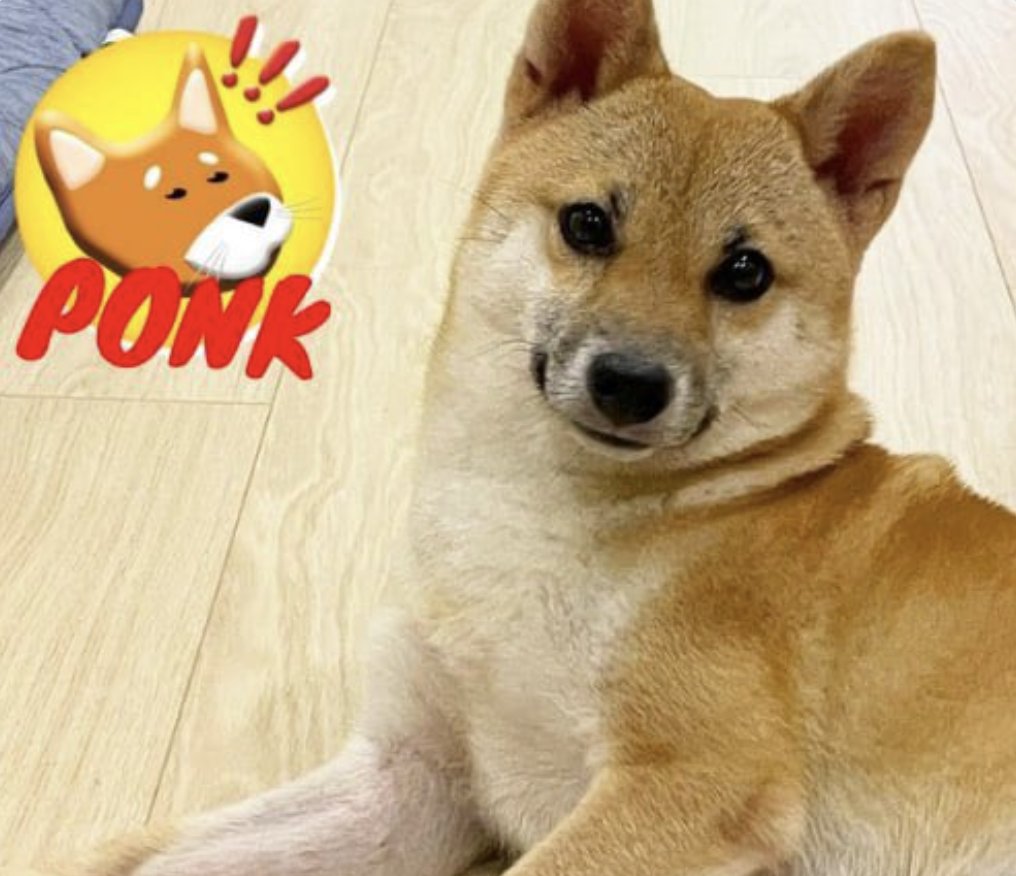 We will list $PONK (@PONK_cto) 
If this Tweet will reach  50 RT and 100 Likes and 40 Comments  #PONK