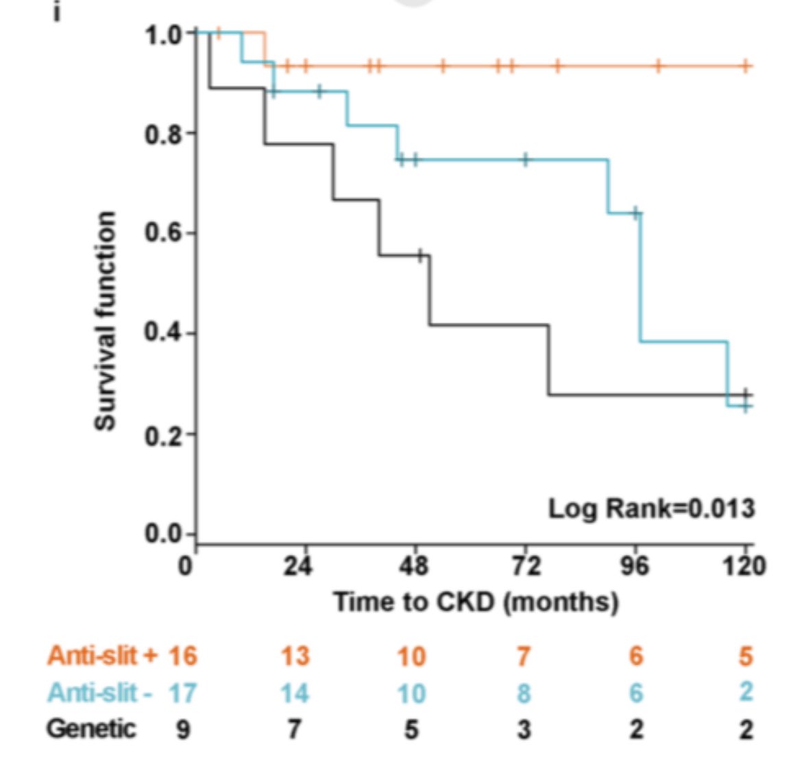 Look how much more important is to know if a patient is genetic or has anti-slit antibodies than if has MCD or FSGS at kidney biopsy.
We have finally come to the era of autoimmune, genetic and adaptive podocytopathies. No more MCD or FSGS used as diagnosis!
