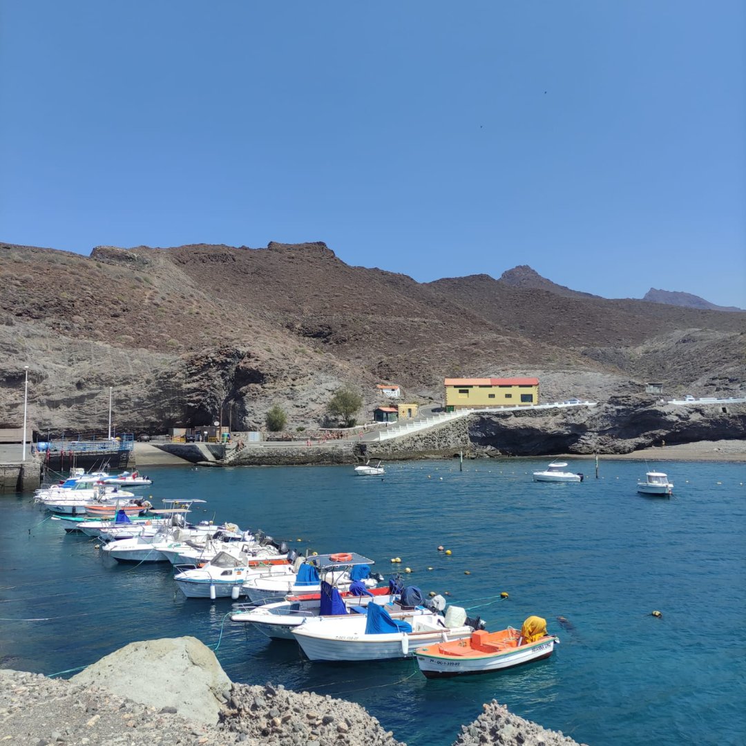 La Aldea de San Nicolás tweet media