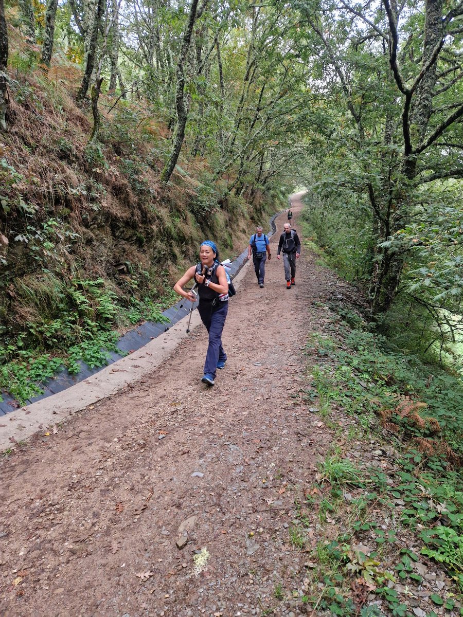 Good morning from the Camino.