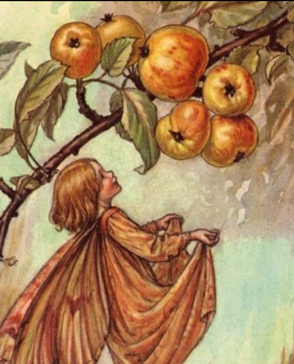 YasatirSanat's tweet image. 🎨
Sonbahar Çiçek Perileri&apos;ndeki tüm sonbahar #perileri. Cicely Mary #Barker&apos;ın &quot;Yengeç Elması Perisi&quot; ve &quot;Beechnut Perisi&quot;, 1926. #PeriMasalı