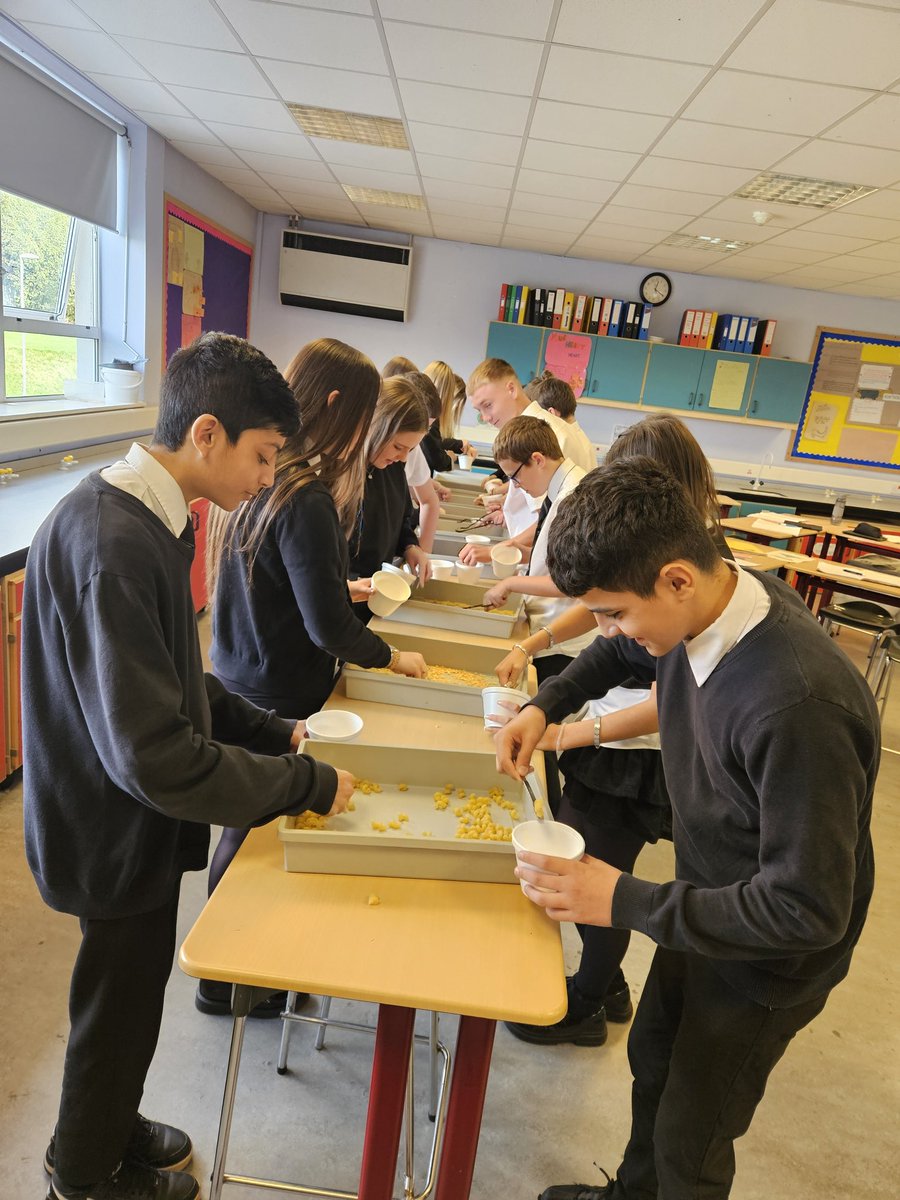 MrCoyle_Bio's tweet image. A fun Friday in the lab.
S3 biologists consolidated their learning of natural selection by taking part in a "beak battle ladder"
@Springburn_sci
🐦🐦⬛🦜