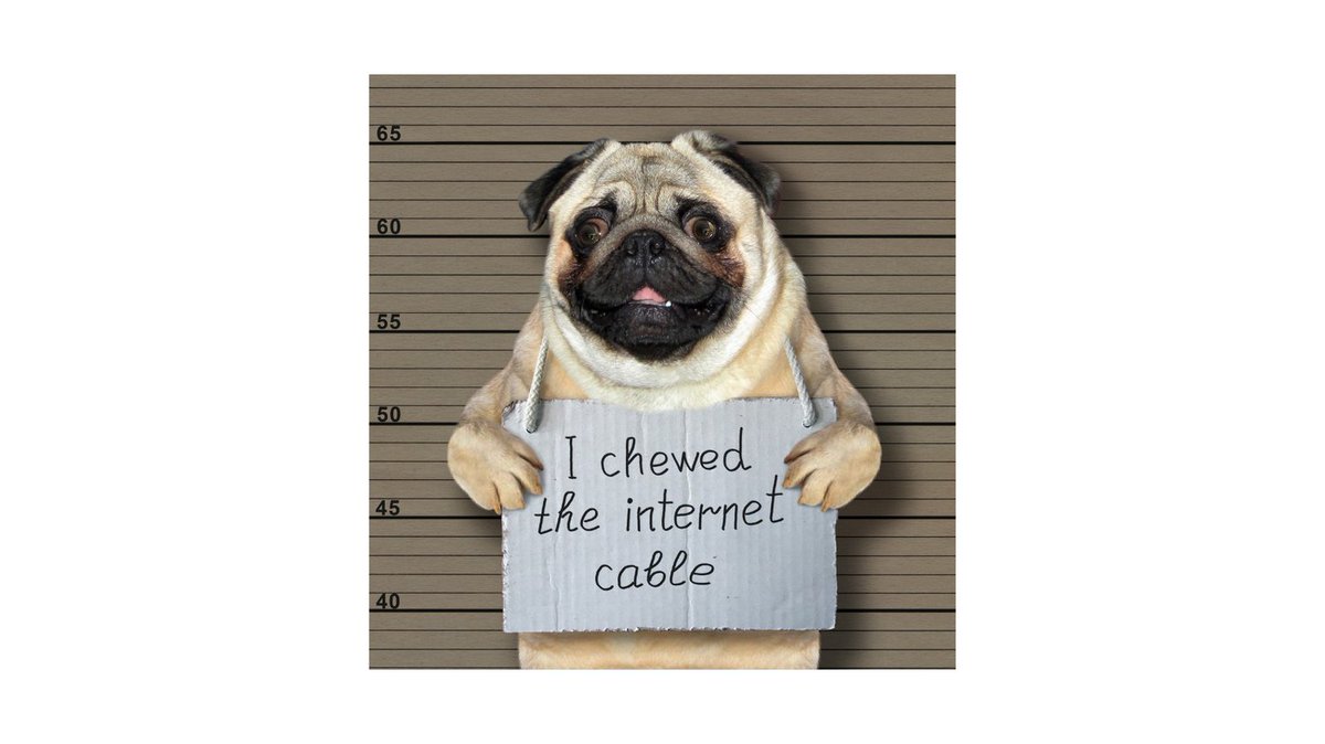 inc_polaris's tweet image. Happy Friday!
#PolarisSystems #TGIF