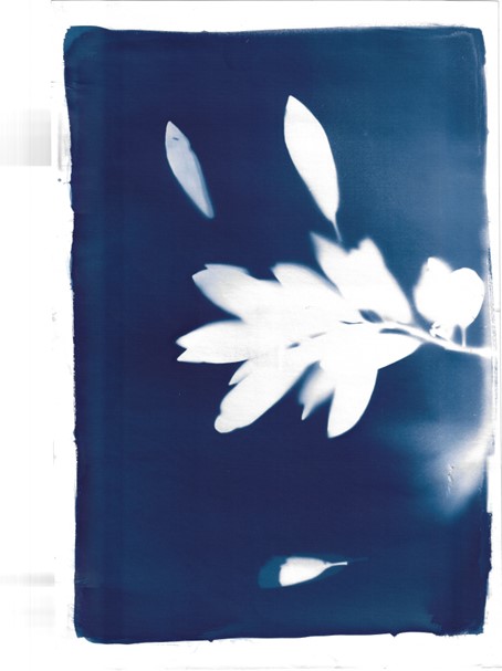 PUBLIC EVENT | Rooted Memories: Mapuche Histories in Focus | 11 October, 2024 | 12.30 - 16.30 | Wereldmuseum Leiden. For more information and registration please visit: materialculture.nl/en/events/root…