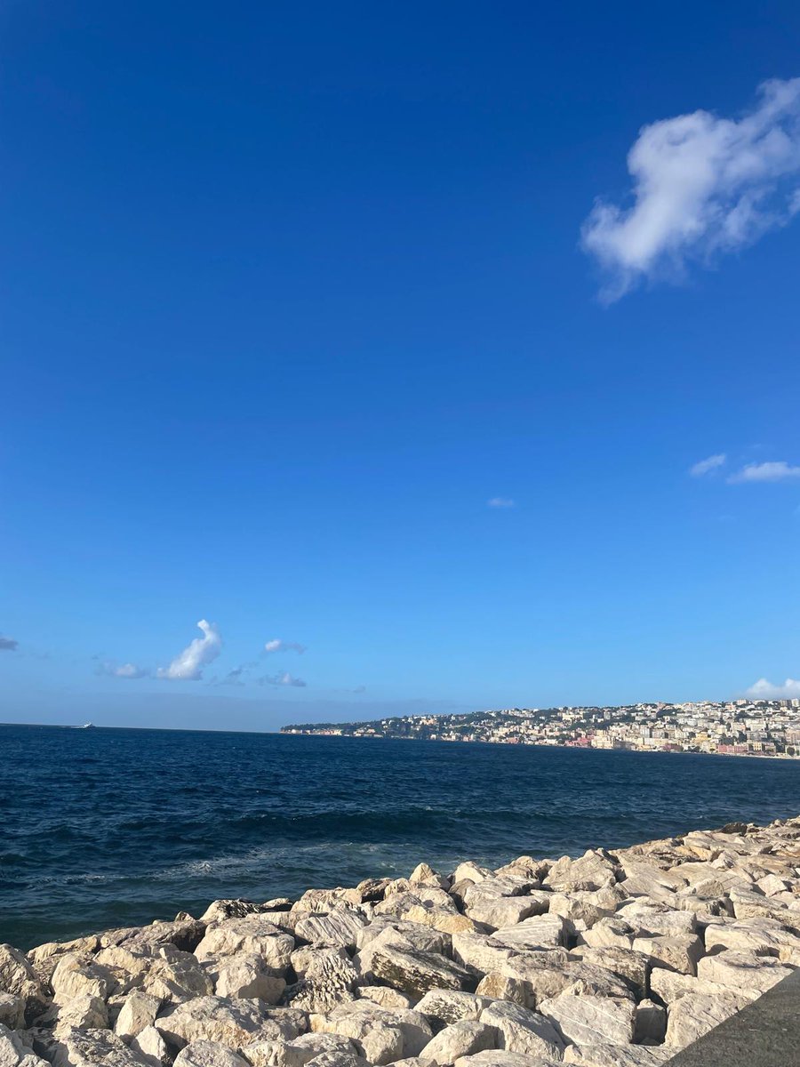 Anna Cecilia Rosso (<a href="/annac_rosso/">Anna Cecilia Rosso</a>) in Napoli presenting “Industrial Policy and the Decision to Emigrate” at the 39th AIEL Conference at the University of Naples (<a href="/UninaIT/">Unina Federico II</a>), 3-5/10. 
aiel.it/Home/Events?fl…