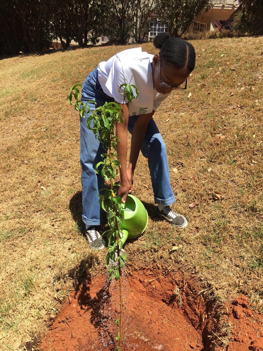 _fatsonthite's tweet image. Closing off Arbour Month by planting fruit trees at the Johannesburg Children’s Home 🌱🫶🏽

#MissEarthSA #MissearthSAFinalist #Jch #tree planting #Arbourmonth #September