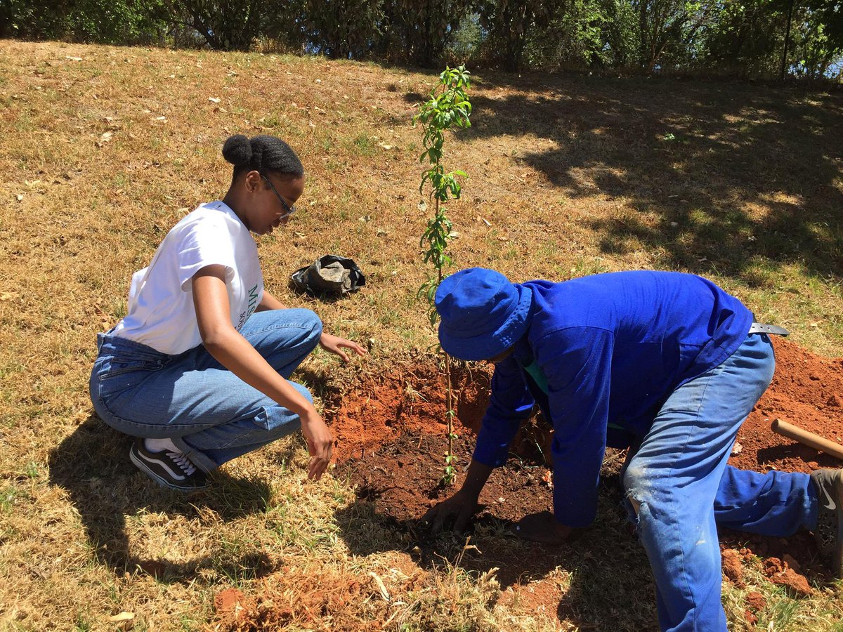 _fatsonthite's tweet image. Closing off Arbour Month by planting fruit trees at the Johannesburg Children’s Home 🌱🫶🏽

#MissEarthSA #MissearthSAFinalist #Jch #tree planting #Arbourmonth #September