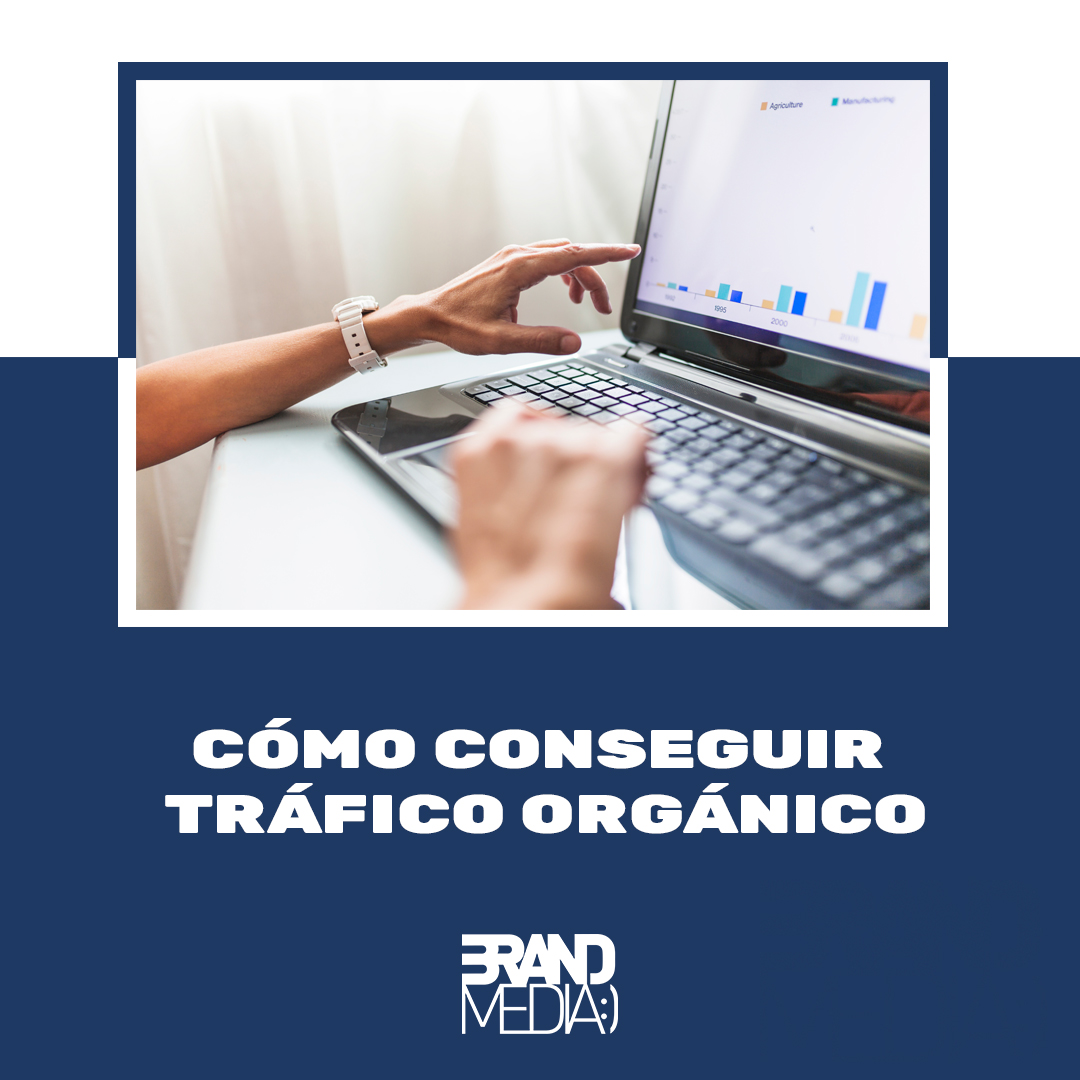 BrandMedia tweet media