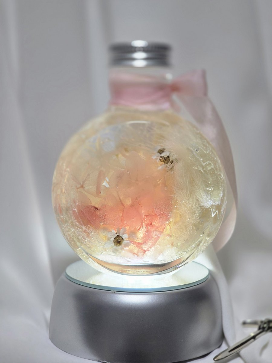 abyss_box_'s tweet photo. :: COMMISSION ::
:: 하바리움 : herbarium:: https://t.co/AZWKMNS38X
