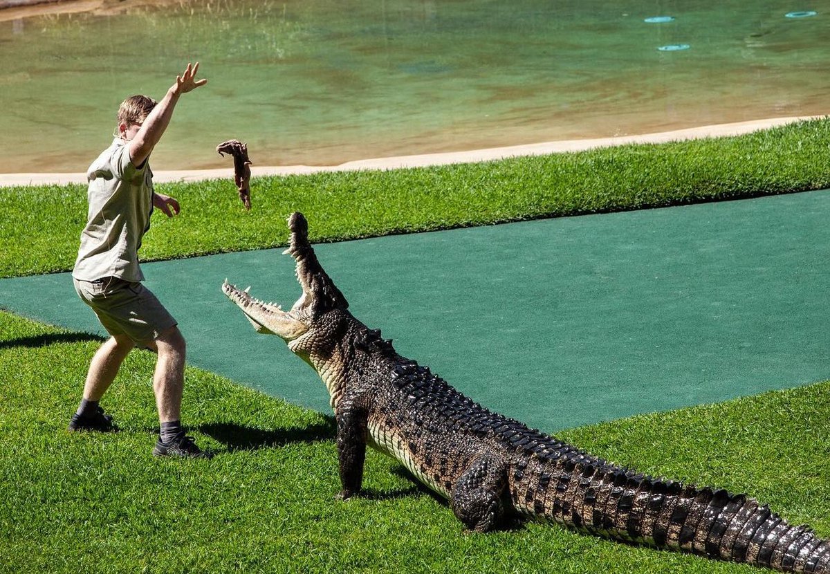One of my favourite parts of my job! Educating everyone about our beautiful saltwater crocodiles by showcasing their remarkable natural behaviour 🐊