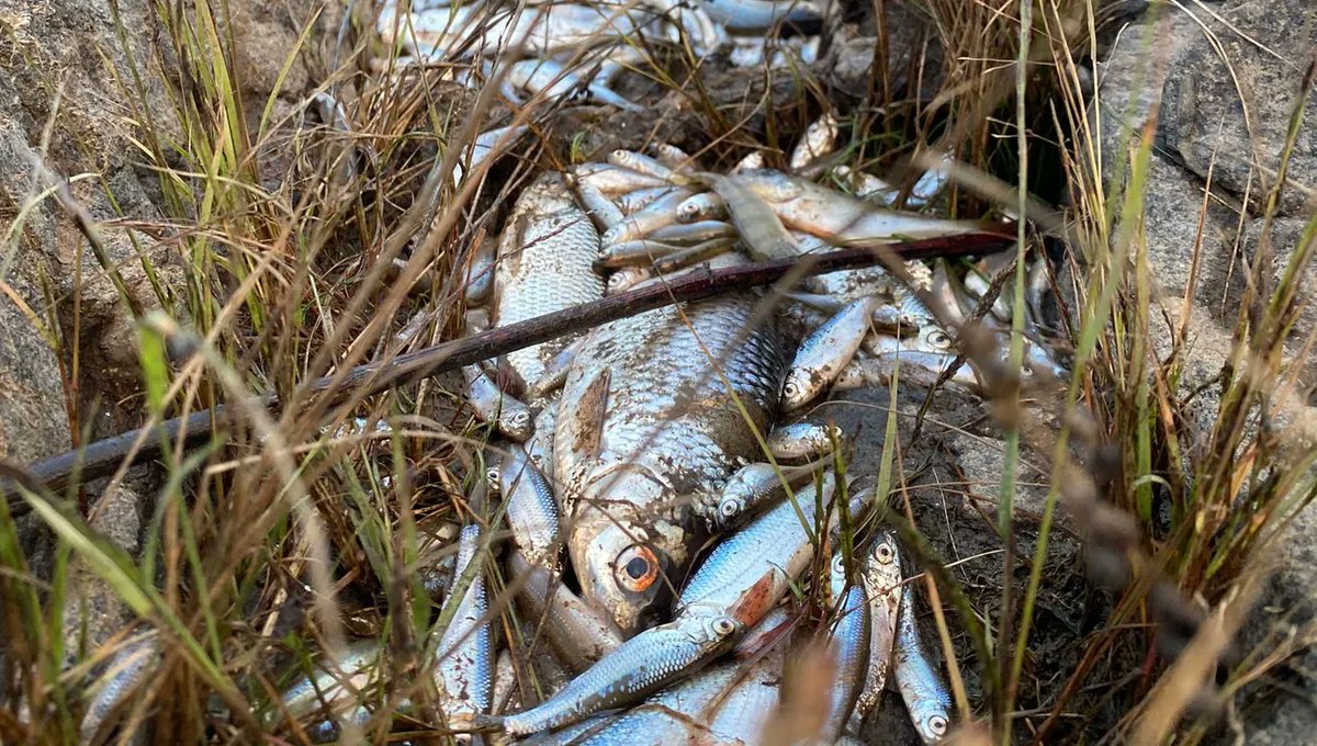 ICI Drôme Ardèche tweet media