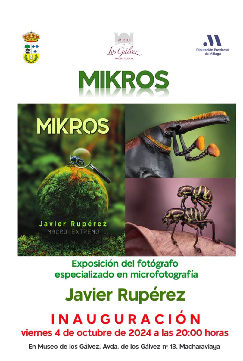 📷🔍🐜 Exposición "Mikros" de Javier Rupérez.
📍 Museo de los Gálvez, Macharaviaya.
📆 Viernes 4 de octubre.
🕗 20:00h.

#Macharaviaya #ExposiciónFotográfica