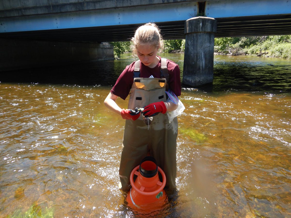 Woolnough Mussel Lab tweet media