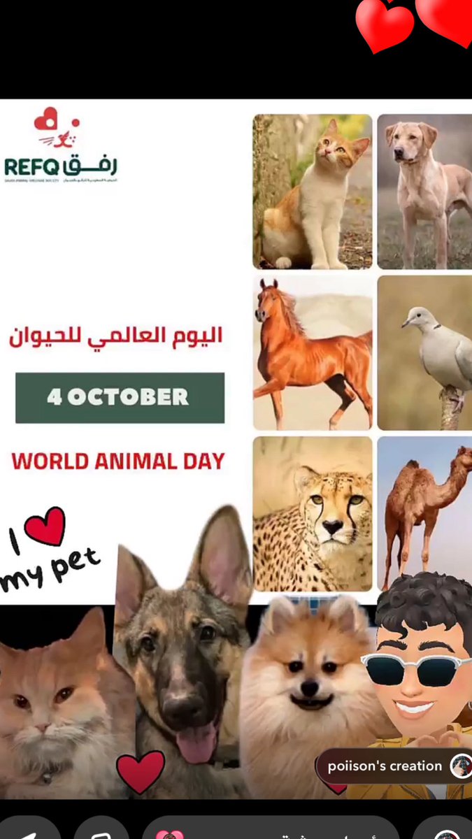 موضي بنت فهد بن مشاري بن جلوي (@eljelwih) on Twitter photo 