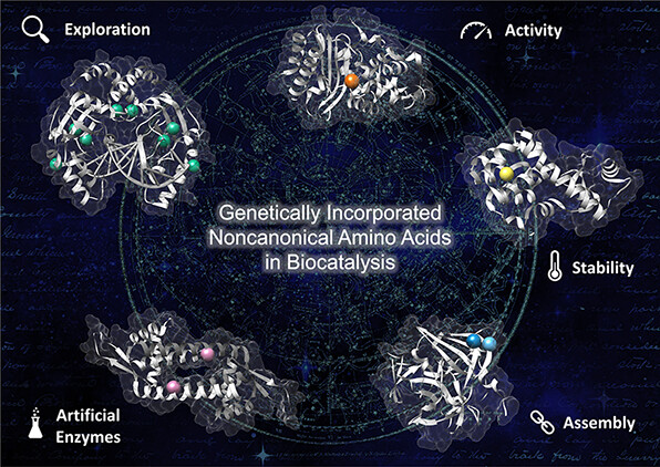 BiocatCodeExpander (@biocat_code) on Twitter photo Exciting news! Check out our latest review "Noncanonical Amino Acids: Bringing New-to-Nature Functionalities to Biocatalysis" a collaboration between <a href="/IvanaDrienovska/">Ivana Drienovska</a>'s group and <a href="/RoelfesGroup/">Roelfes Group (find us as @roelfesgroup on BS)</a>. Special congrats to our DCs Emilia and Jan Hendrik for their amazing contributions!⚗️ Exciting news! Check out our latest review "Noncanonical Amino Acids: Bringing New-to-Nature Functionalities to Biocatalysis" a collaboration between <a href="/IvanaDrienovska/">Ivana Drienovska</a>'s group and <a href="/RoelfesGroup/">Roelfes Group (find us as @roelfesgroup on BS)</a>. Special congrats to our DCs Emilia and Jan Hendrik for their amazing contributions!⚗️