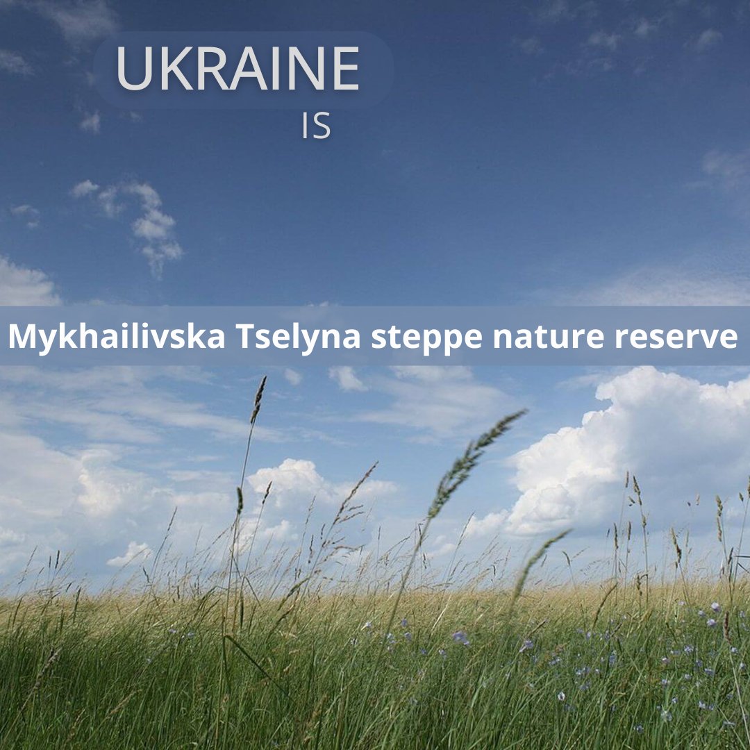 🇺🇦 In eastern #Ukraine, the Mykhailivska Tselyna steppe nature reserve is one of the most pristine steppes that has never been touched by a plow. The reserve protects the northernmost section of the meadow steppe, which has survived only in this area.