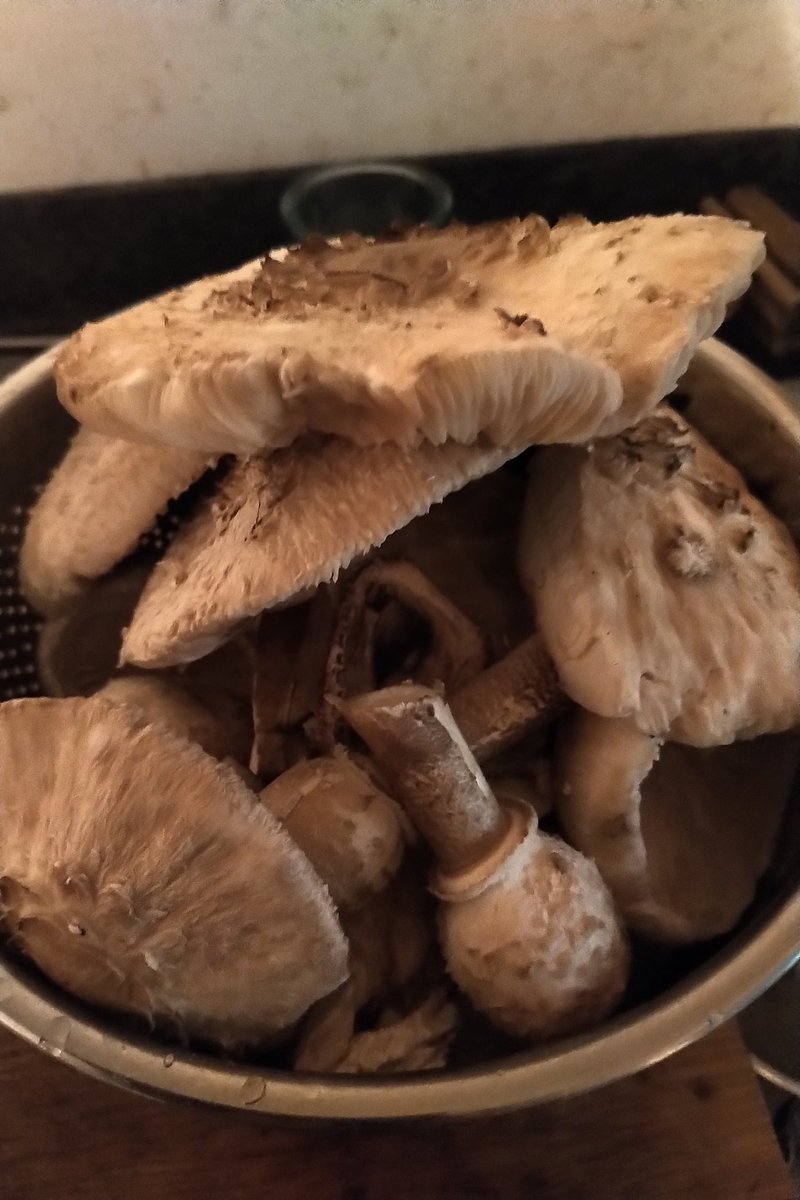 Rosensibylle's tweet image. #cookingexperience