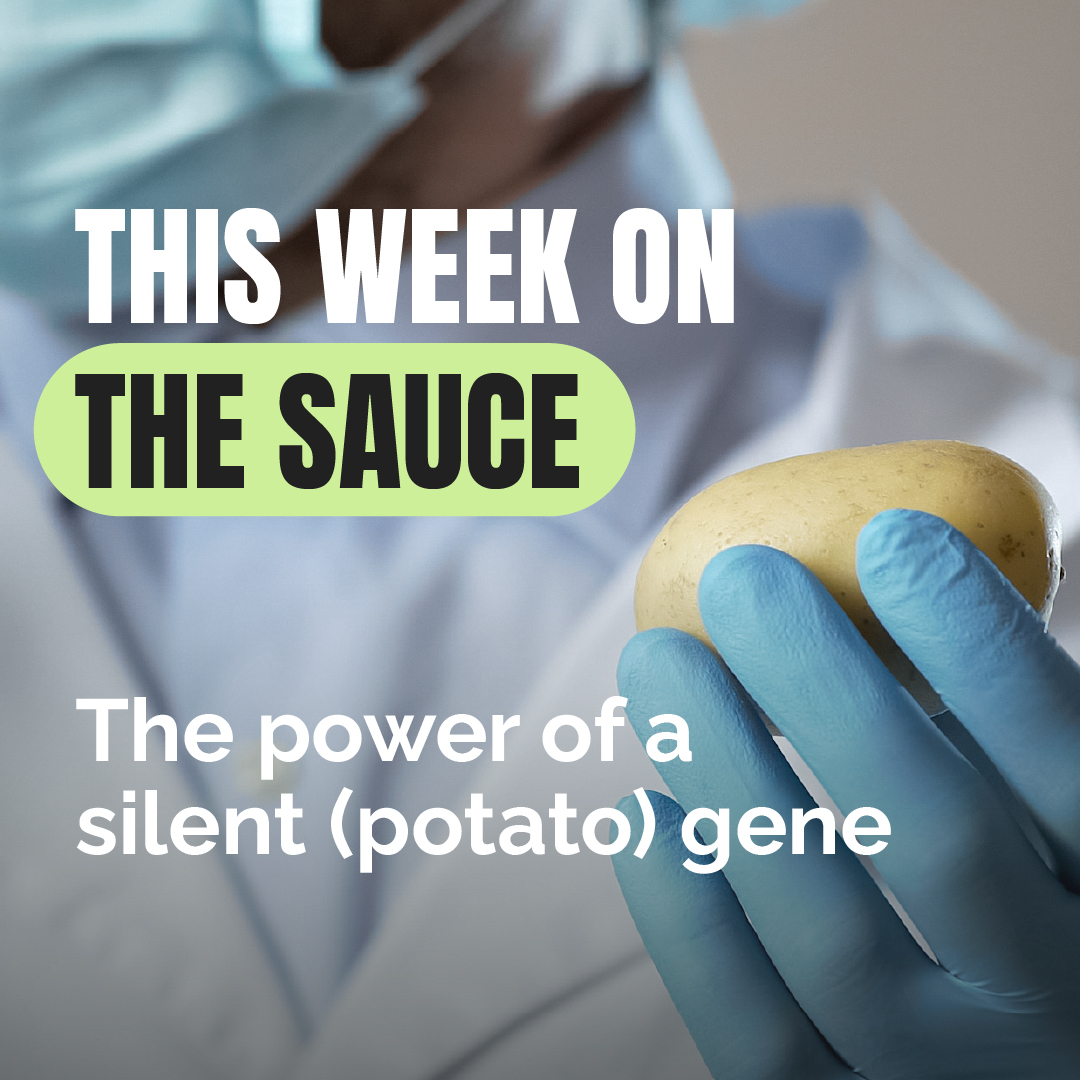 InFlavour tweet media