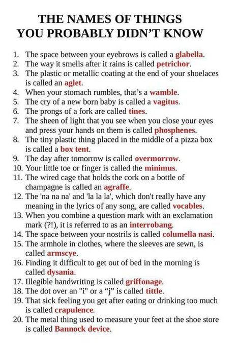 Rainmaker1973's tweet photo. Names of things you probably didn't know https://t.co/EdqSj0xYei