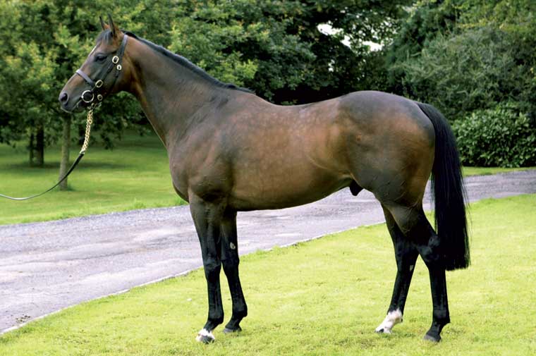 EBN (@bloodstocknews) on Twitter photo 💫 More Stakes success for <a href="/HoStud/">Tally-Ho Stud</a>'s KODIAC (pic) 💫
🥇 ATLANTIC COAST wins the Listed Prix Matchem at Saint-Cloud for trainer <a href="/JosephOBrien2/">Joseph O'Brien</a> and owner/breeder <a href="/alshiraaracing/">Al Shira’aa Racing Ltd</a>.
Don't miss <a href="/BarodaStudIre/">Baroda Stud</a> selling his PINATUBO half-brother Lot 263 at <a href="/Tattersalls1766/">Tattersalls</a> next week ‼️ 💫 More Stakes success for <a href="/HoStud/">Tally-Ho Stud</a>'s KODIAC (pic) 💫
🥇 ATLANTIC COAST wins the Listed Prix Matchem at Saint-Cloud for trainer <a href="/JosephOBrien2/">Joseph O'Brien</a> and owner/breeder <a href="/alshiraaracing/">Al Shira’aa Racing Ltd</a>.
Don't miss <a href="/BarodaStudIre/">Baroda Stud</a> selling his PINATUBO half-brother Lot 263 at <a href="/Tattersalls1766/">Tattersalls</a> next week ‼️