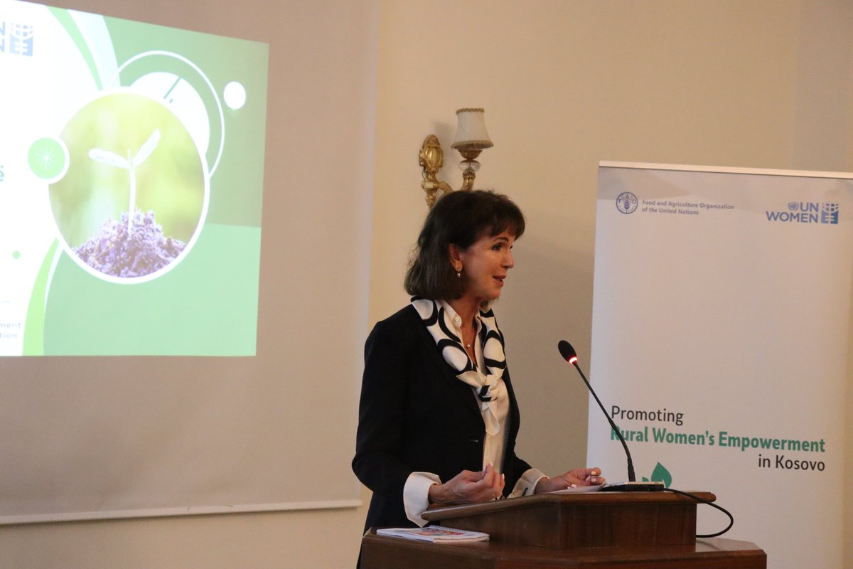 UN Women Kosovo tweet media