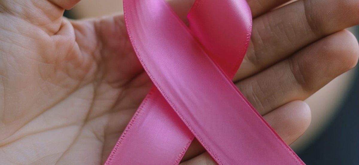 🎀 Les Yvelines se mobilisent pour Octobre Rose !
Tout au long du mois d’octobre, de nombreuses actions sont prévues dans les Yvelines pour encourager le dépistage du cancer du sein.

Découvrez le programme : destination-yvelines.fr/octobre-rose-y…

#yvelines #destinationyvelines #OctobreRose
