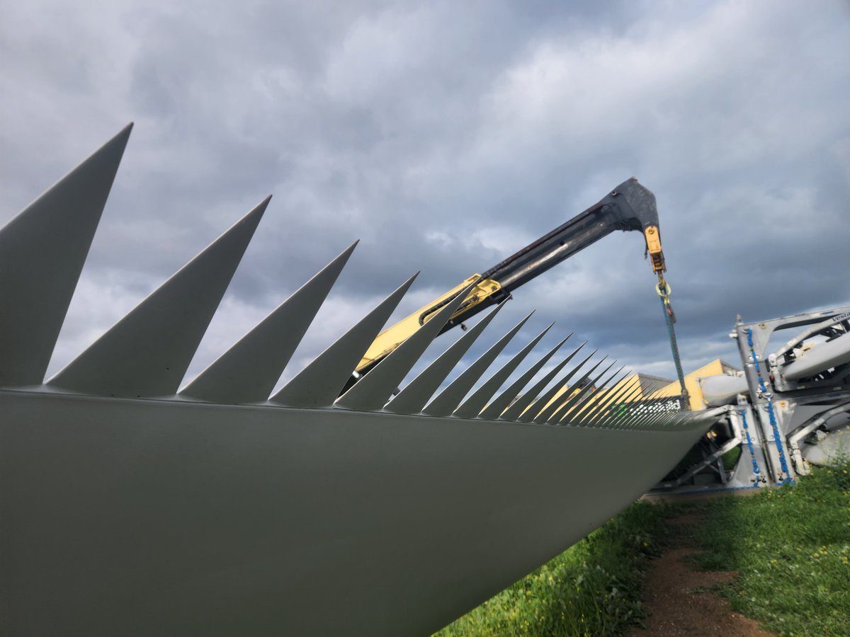 Russell Coad tweet media