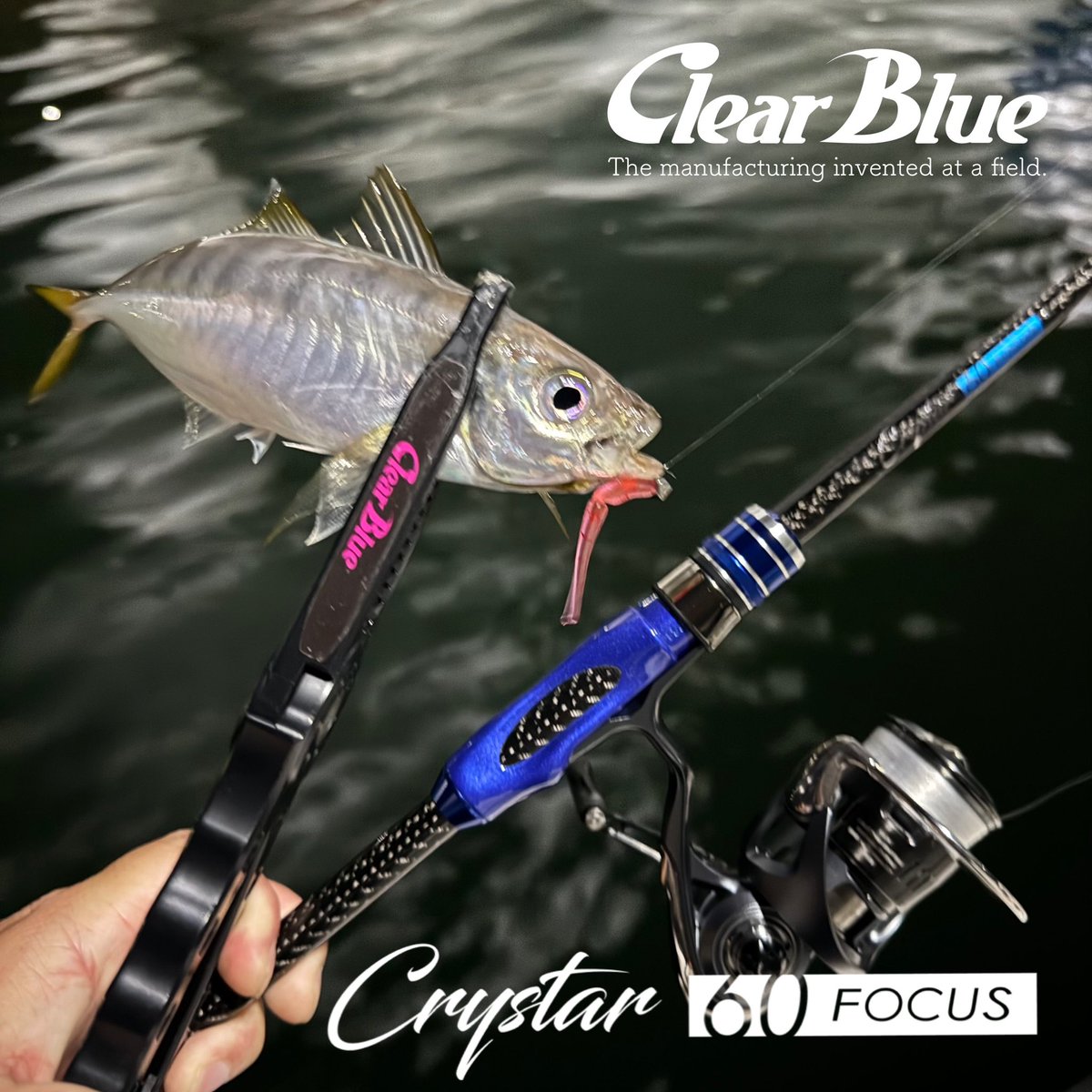 クリアブルー ClearBlue クリスター 60フォーカスエボルバー (ライト