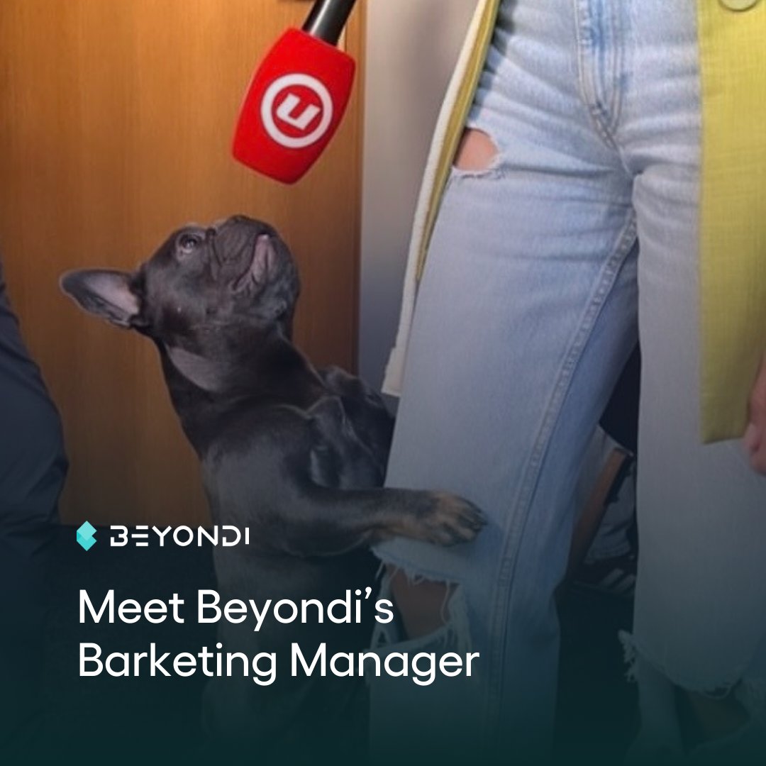 beyondiHQ's tweet photo. Our Barketing Manager Pikachu has decided to give a brief statement today on the occasion of World Animal Protection Day. 🐶

"Always be the top dog in the office! Don't let them say no when you ask for a treat, a scratch, or a walk!"
What do your Barketing Managers say? Do they agree with Pika? 😊

#beyondi #team #worldanimalprotectionday #officedog