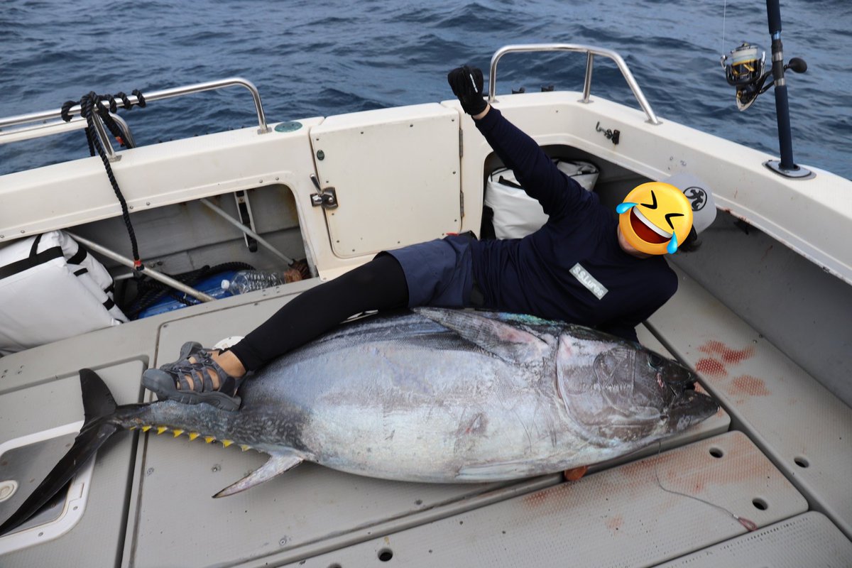 Kaz 遠征あんぐらー tweet media