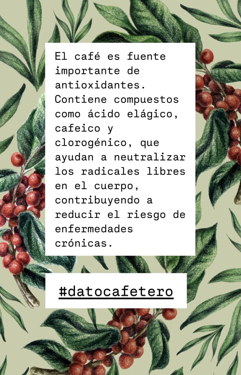 cafe_con_alba's tweet photo. #DatoCafetero https://t.co/NzExfjfDuG