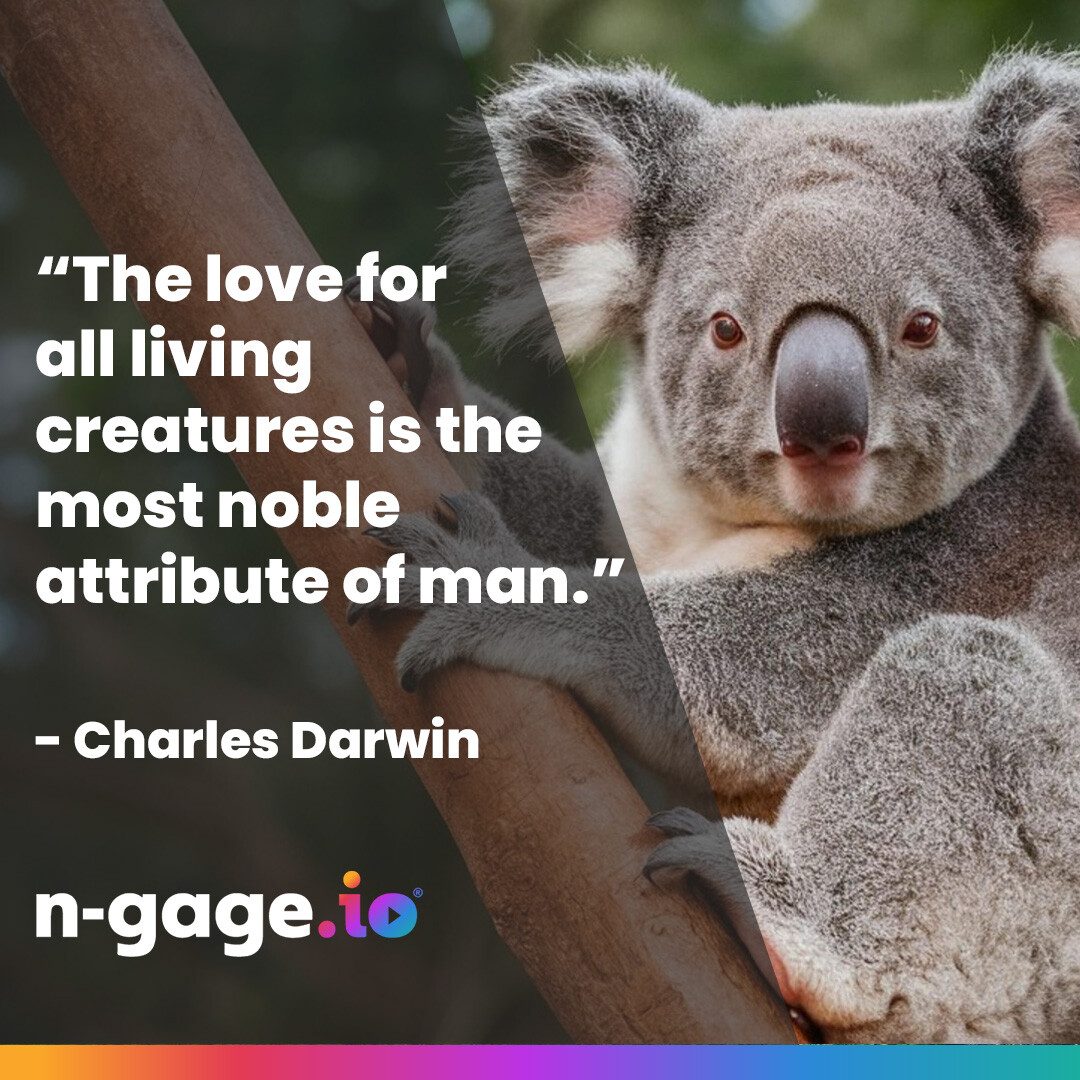 Celebrating World Animal Day!

We’re proud to partner with Knowsley Safari Park, where sustainability is key to protecting biodiversity, and Alameda Wildlife Conservation Park, dedicated to rescuing exotic animals and raising conservation awareness 

#WorldAnimalDay