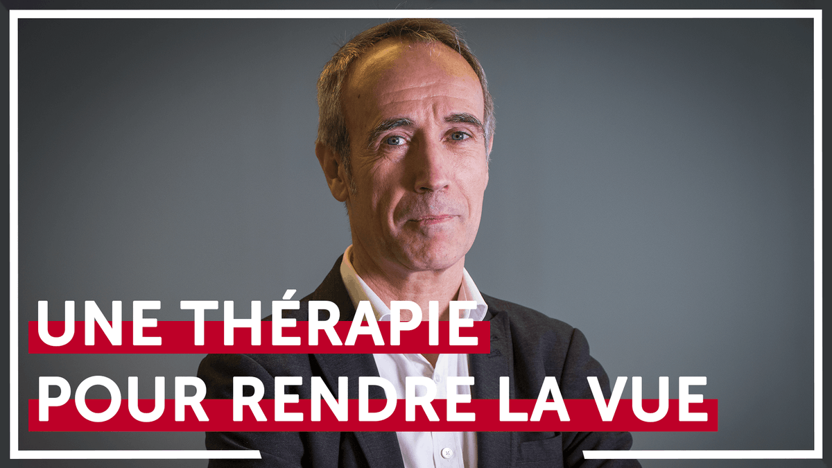 Sorbonne_Univ_'s tweet photo. 👩‍🦯👁 Rendre la vue à un #aveugle grâce à une algue ? C'est l'exploit réalisé par les scientifiques de l'@InstVisionParis !
👉 À l'occasion de la Journée nationale des aveugles et malvoyants, retour sur cette prouesse avec son directeur Serge Picaud : https://t.co/7KjpYUB1Ec https://t.co/9aJJG88Z9q