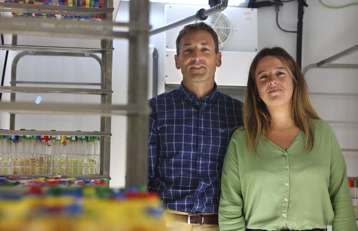 ¿Qué sucede en las aguas tras el cese de vertidos de depuradoras que han estado operativas durante 50 años? Jone Bilbao y Sergio Seoane han evaluado la respuesta del fitoplancton de #Urdaibai tras el cierre de la depuradora de Gernika, mediante una novedosa herramienta basada en