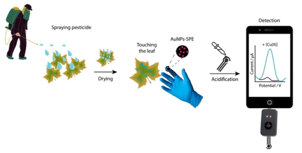 Our lab <a href="/uninanobiosens/">uninanobiosensors</a> developed an on-glove platform to detect copper ions directly on vine leaves! 🌿 Published in <a href="/ECSorg/">ECS</a> Sensors Plus.

Copper is key in protecting wine, and this tech empowers #precisionagriculture for non-experts.

Read more here: lnkd.in/dY_YhJK9