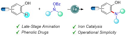 Arkaitz Correa (@correachemlab) on Twitter photo After being scooped and a long journey, here it comes our last method "Late-Stage Radical C–H Alkylamination of Tyrosine Compounds and Phenol-Containing Drugs" Zorionak Paula, so proud of this work! <a href="/ehu_kimika/">Kimika Fakultatea UPV/EHU</a> pubs.acs.org/doi/10.1021/ac… After being scooped and a long journey, here it comes our last method "Late-Stage Radical C–H Alkylamination of Tyrosine Compounds and Phenol-Containing Drugs" Zorionak Paula, so proud of this work! <a href="/ehu_kimika/">Kimika Fakultatea UPV/EHU</a> pubs.acs.org/doi/10.1021/ac…