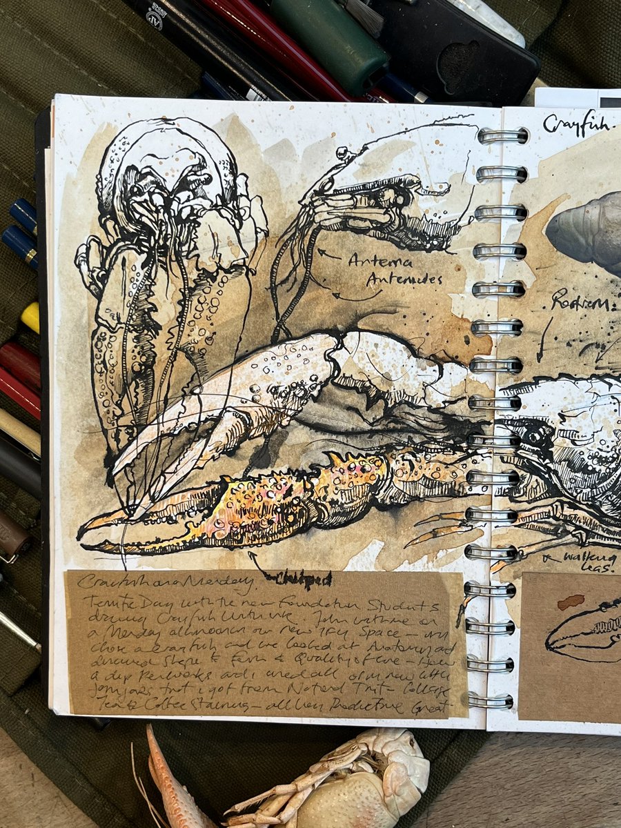 Duncan Cameron tweet media