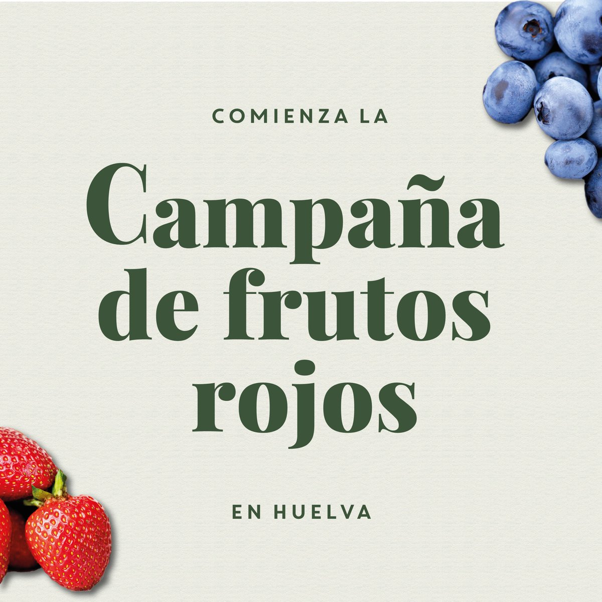 JisaNutrientes's tweet photo. 🍓¡Comienza la campaña de frutos rojos en Huelva!🍓
¡Enfrenta los retos de esta campaña con productos que cuidan de tu cultivo desde la raíz! 🌿
#FresasHuelva #Agronutrición #FrutosRojos #Campaña2024 #RaícesFuertes #NutriciónVegetal #Berries #JISA #JISAAdvancedAgro https://t.co/UigoTMzQ8x