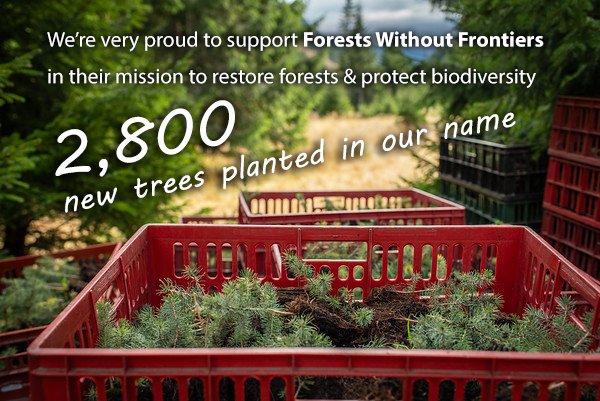 ... and we'll keep planting another 100 each month :-)

#sustainability #carbonoffset #ForestsWithoutFrontiers