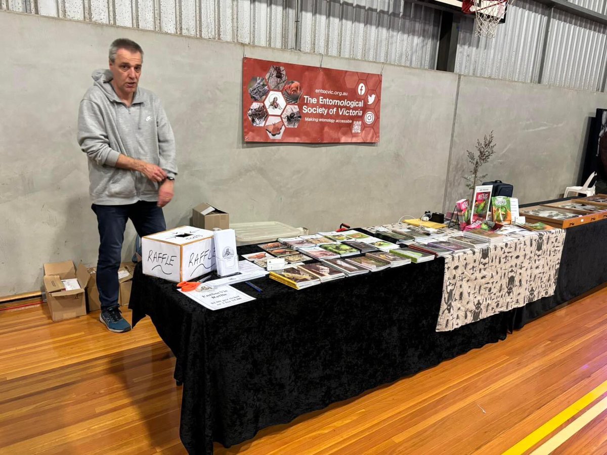 EntSocVic's tweet photo. Visit #EntSocVic at the 2024 Insect Expo at Woodend this weekend, Oct 4th to 6th.  Day 1 was very busy ….the calm before the storm on Saturday 😁 https://t.co/vQdTn24sjT