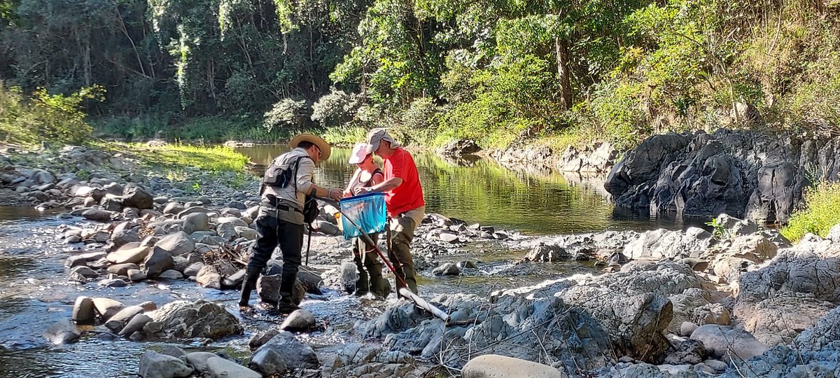 Laboratoire BOREA tweet media
