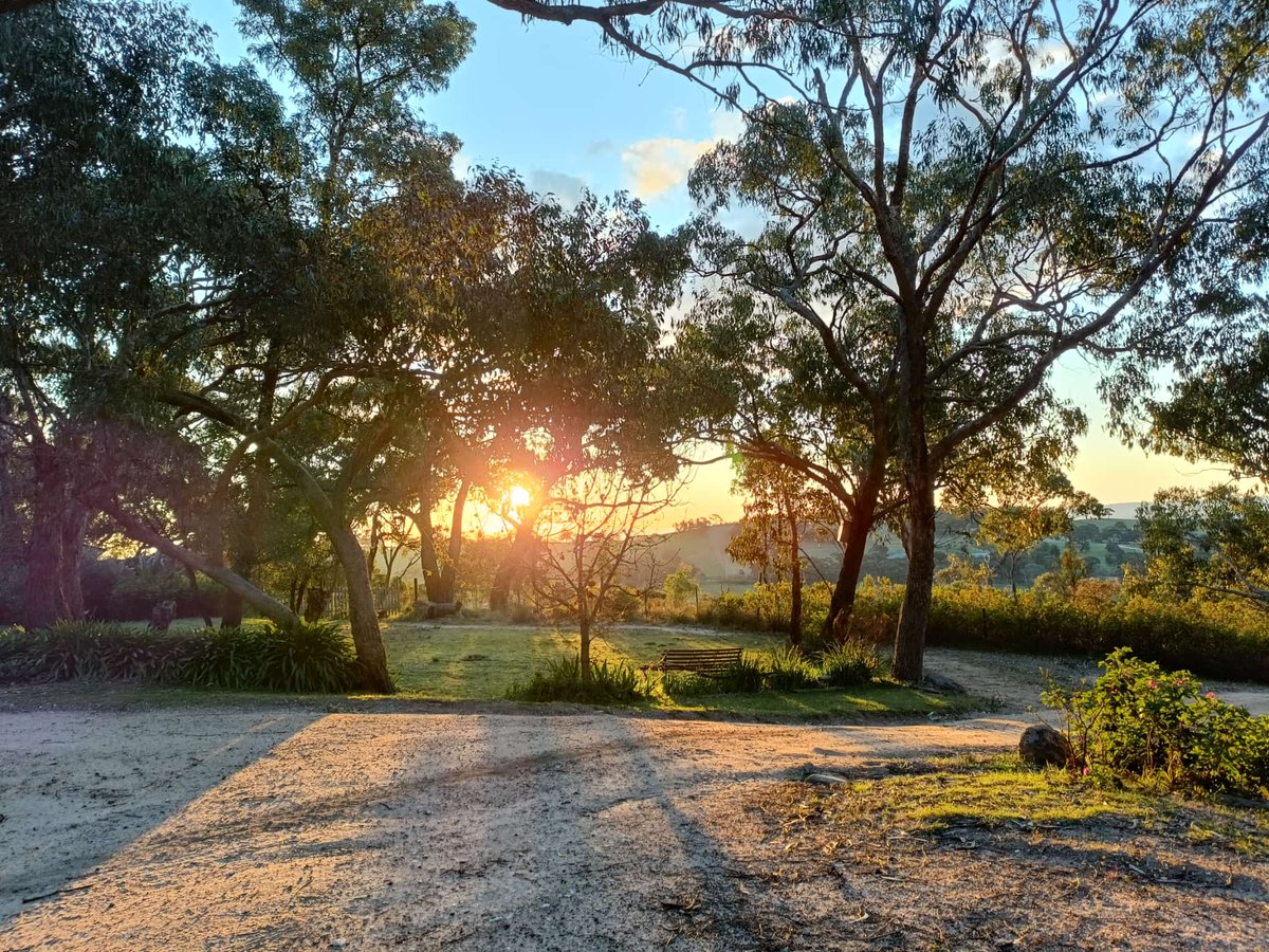 Happy Friday! We are lucky to live on this beautiful land on Wiradjuri Country. We hope the thousands of visitors to the Koori Knockout have a great weekend. 
#Friday #sunset #weekend