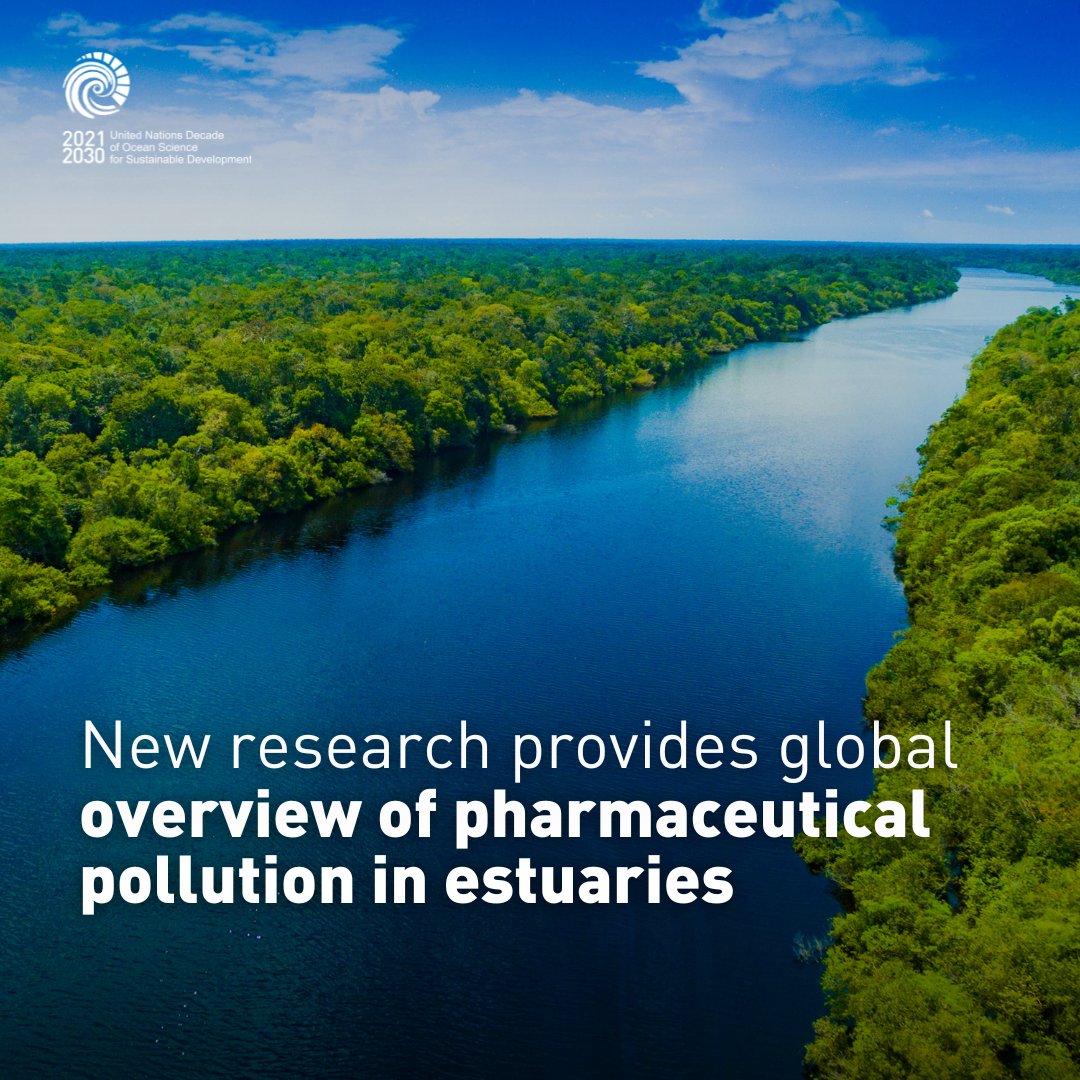 New research by the Global Estuary Monitoring Programme under the framework of the #OceanDecade provides an overview of pharmaceutical pollution in estuaries.

👉 Read the study: ow.ly/KOA250TC4Qx
👉 Find out more about the Programme: ow.ly/y99050TC4Qy
