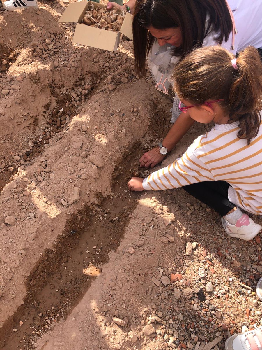 DOP Azafrán de La Mancha tweet media