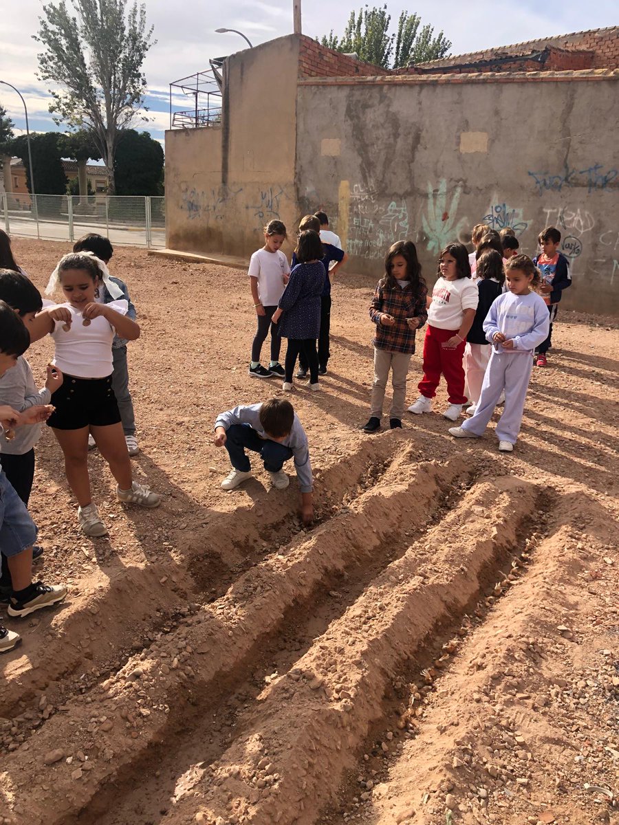 DOP Azafrán de La Mancha tweet media