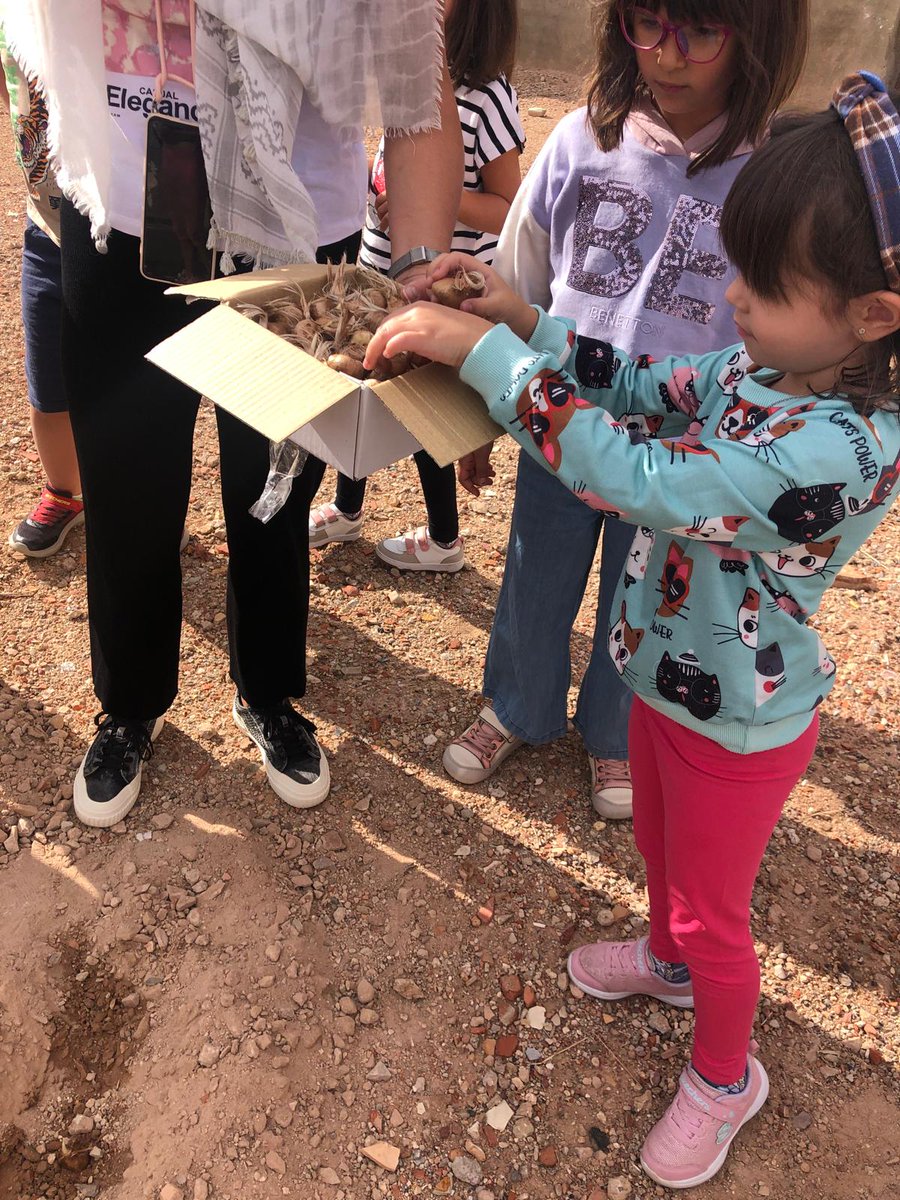 DOP Azafrán de La Mancha tweet media